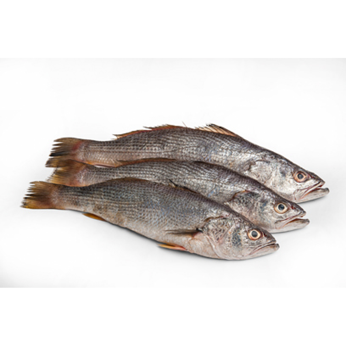 Pescada Inteira Fresca 600g