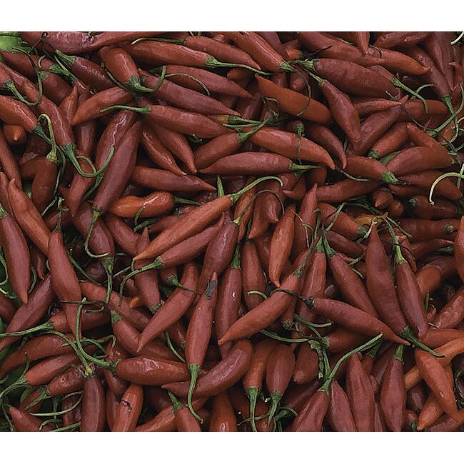 Pimenta Vermelha Quilo
