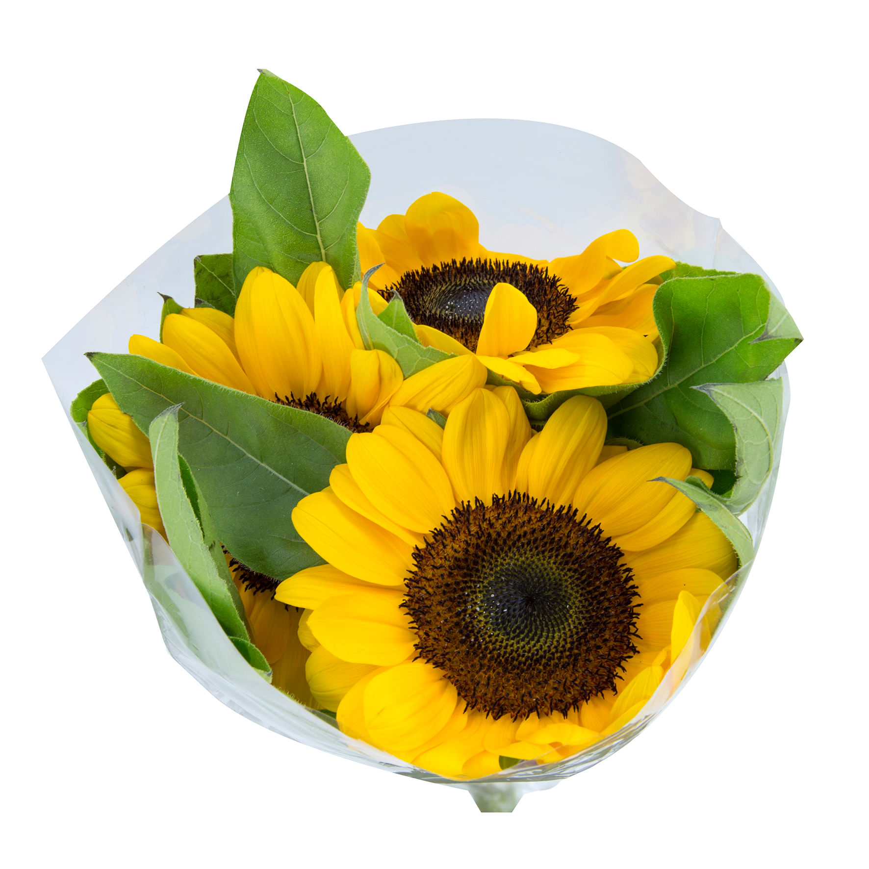 Flor Maço GIRASSOL