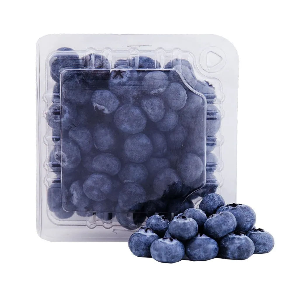 Mirtilo Garden Fruit Importado 125g