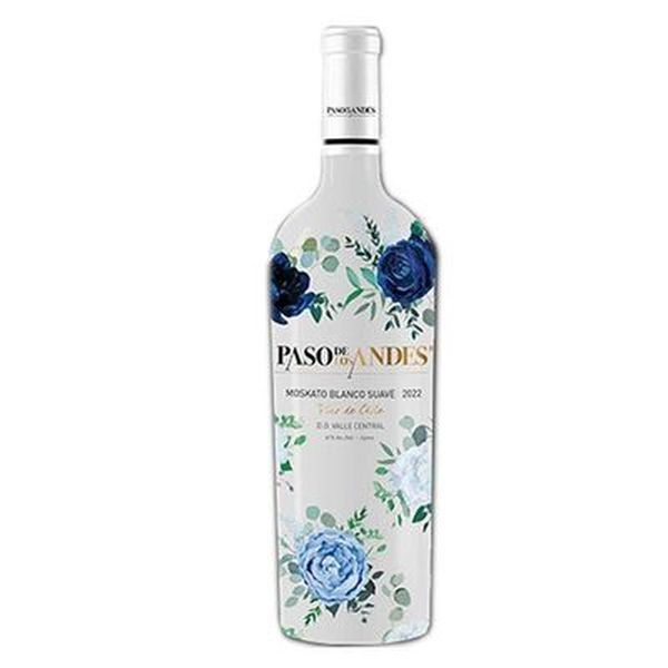 VINHO CHI.PASO DE LOS ANDES BC