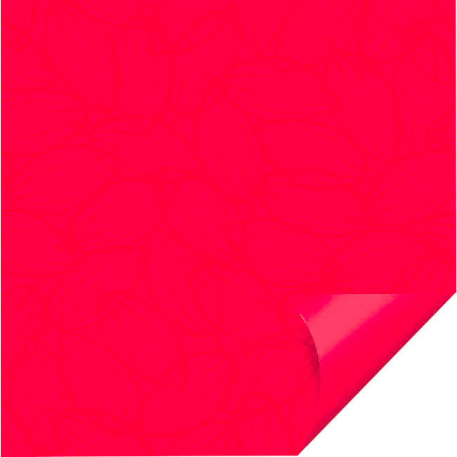 Folha Double Face Cromus 69x89cm 10un
