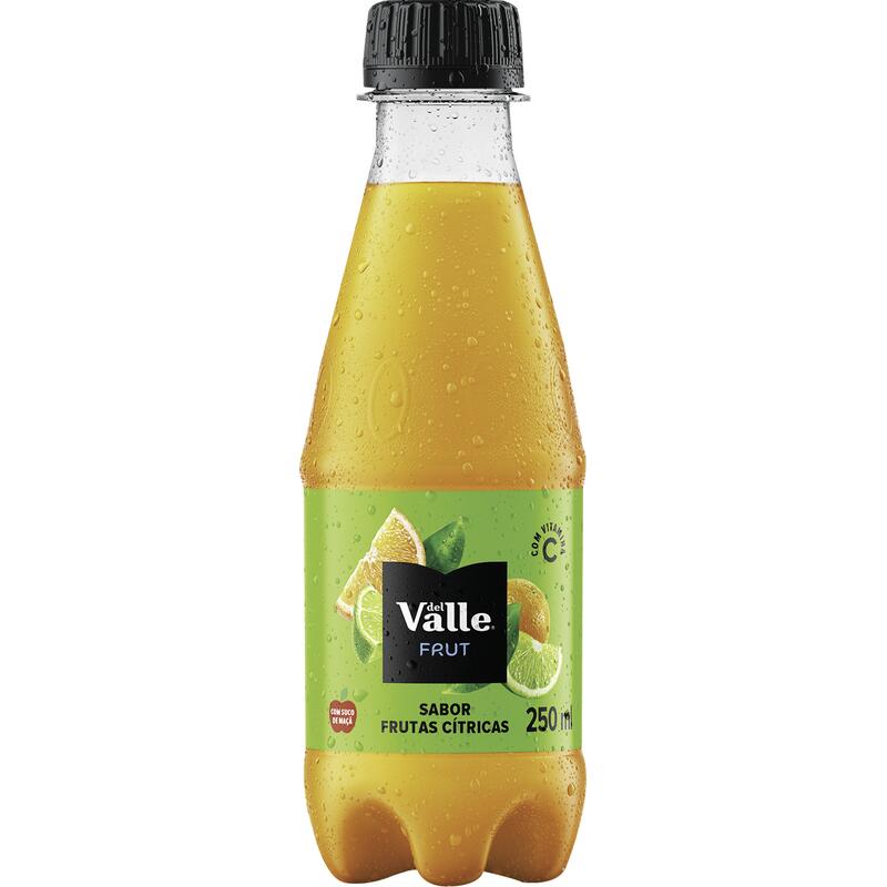 Suco Del Valle Citrus Punch 250ml