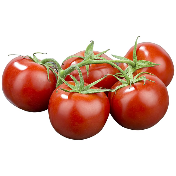 Tomate Holandês Kg