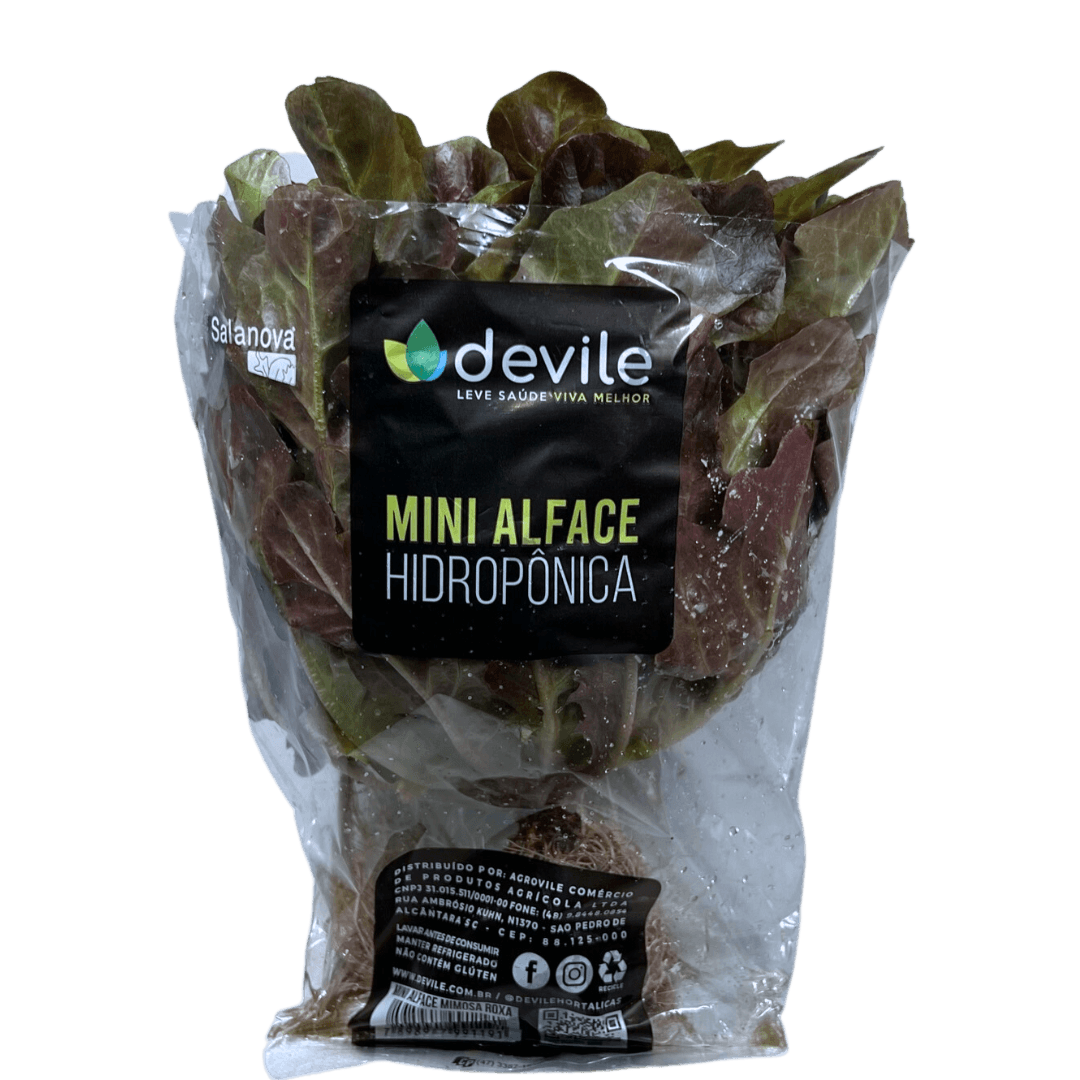 Alface Mini Mimosa Hidripônica DEVILE Unidade