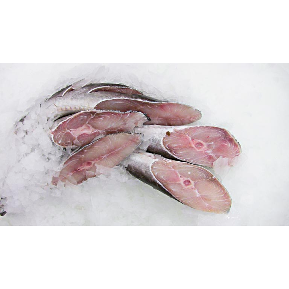 Posta Beijupira Fresca 1,1kg