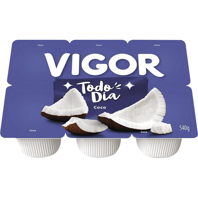 Bebida Láctea Polpa Vigor Coco 540g