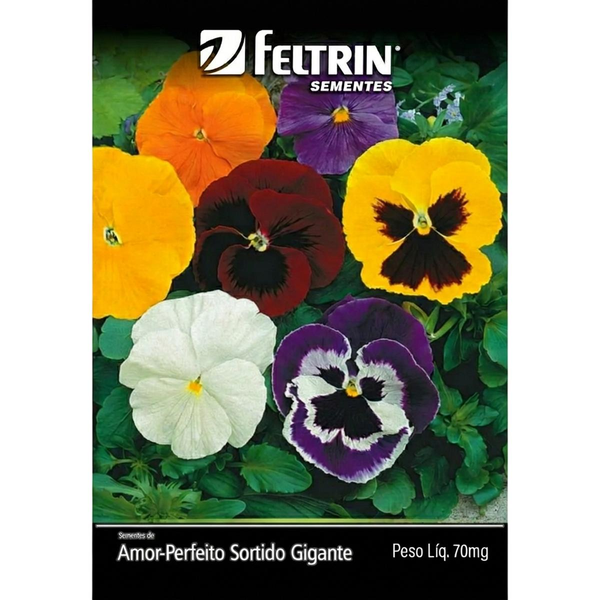 Semente Feltrin Amor-perfeito - Sortido