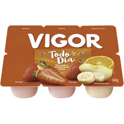 Bebida Láctea Polpa Vigor Vitamina 540g