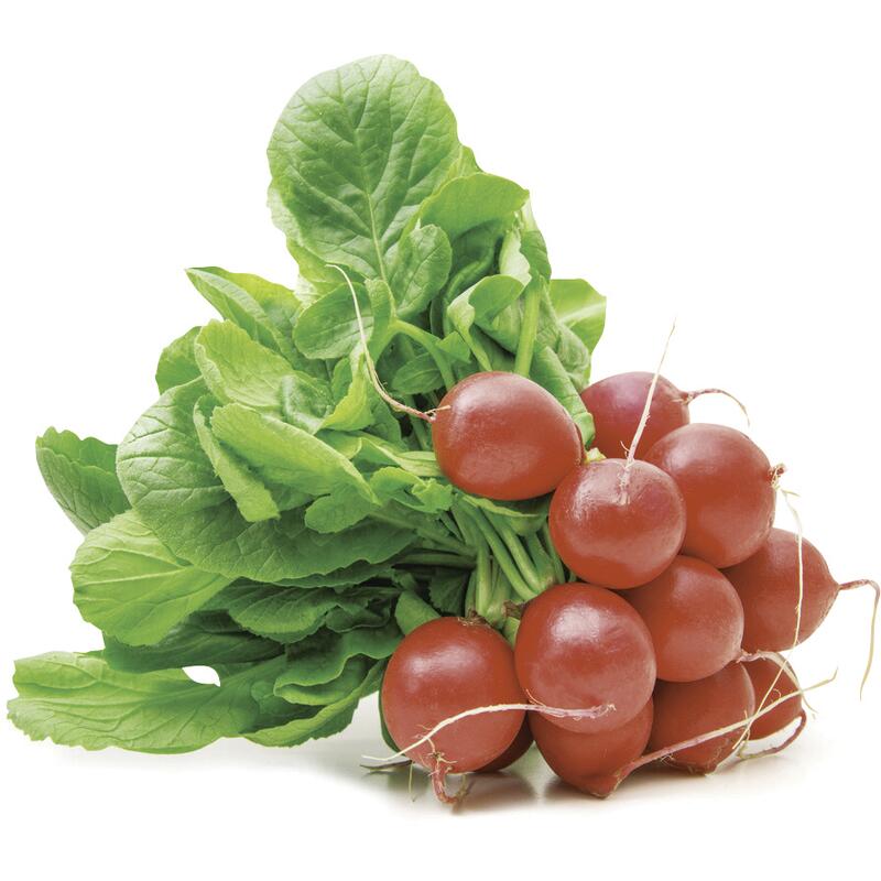 Rabanete Maço