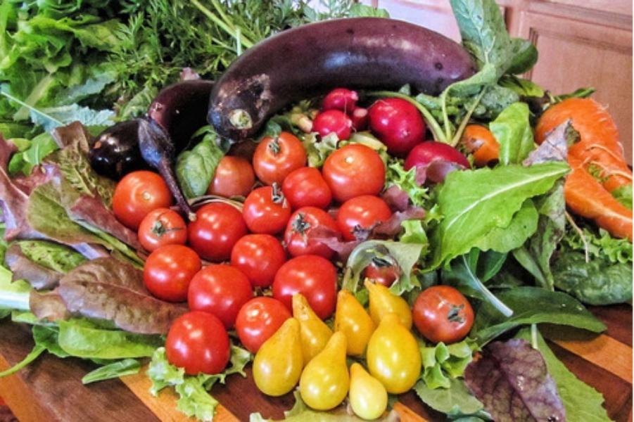 Eritorbato De Sódio Em Pó - 1 kg