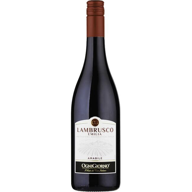 Vinho Italiano Ognigiorno Lambrusco 750ml