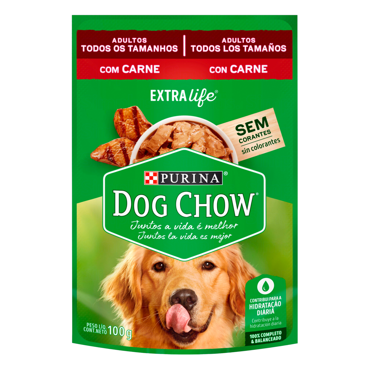 Ração Úmida Purina Dog Chow para Cães Adultos sabor Carne 100g