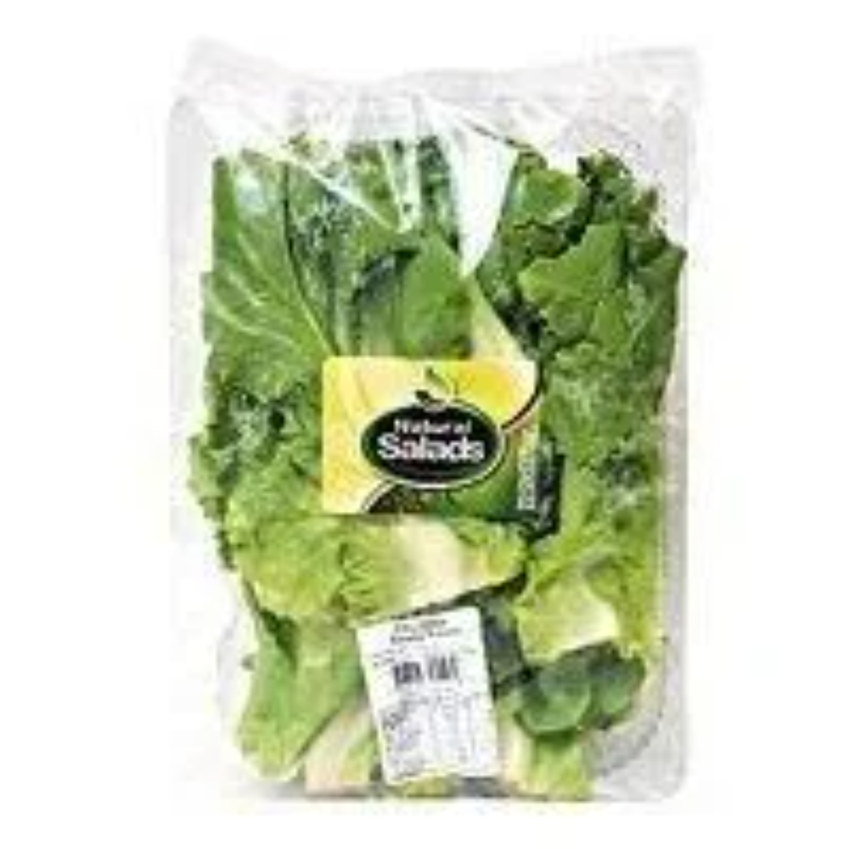Salada de Chicória Higienizada 150g
