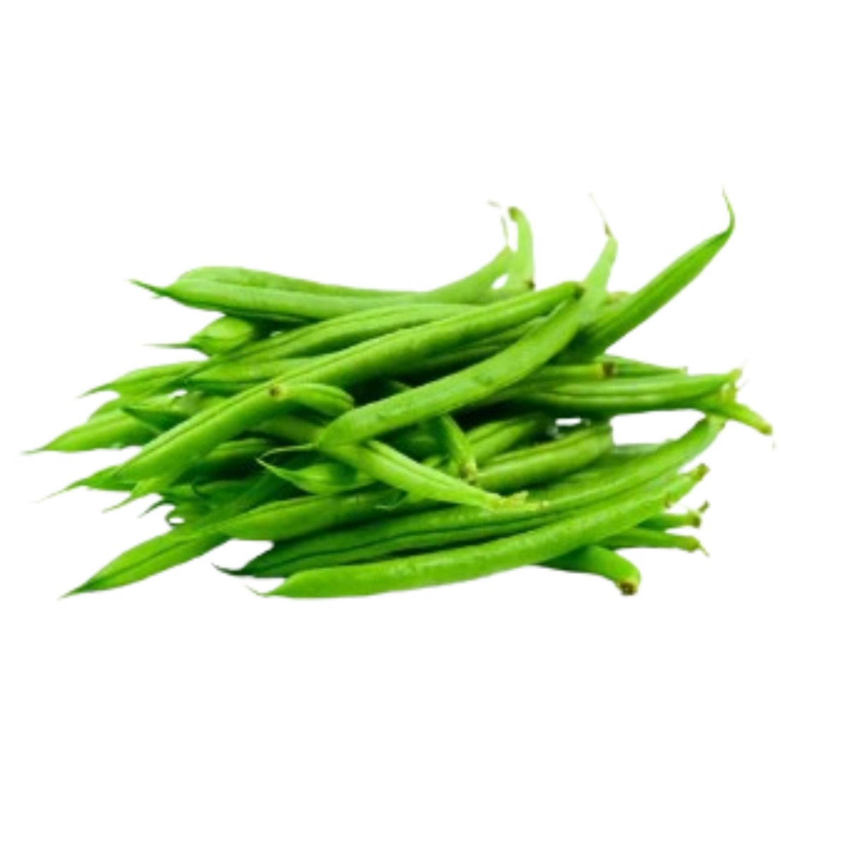 Vagem Holandesa Orgânica do Sul 300g