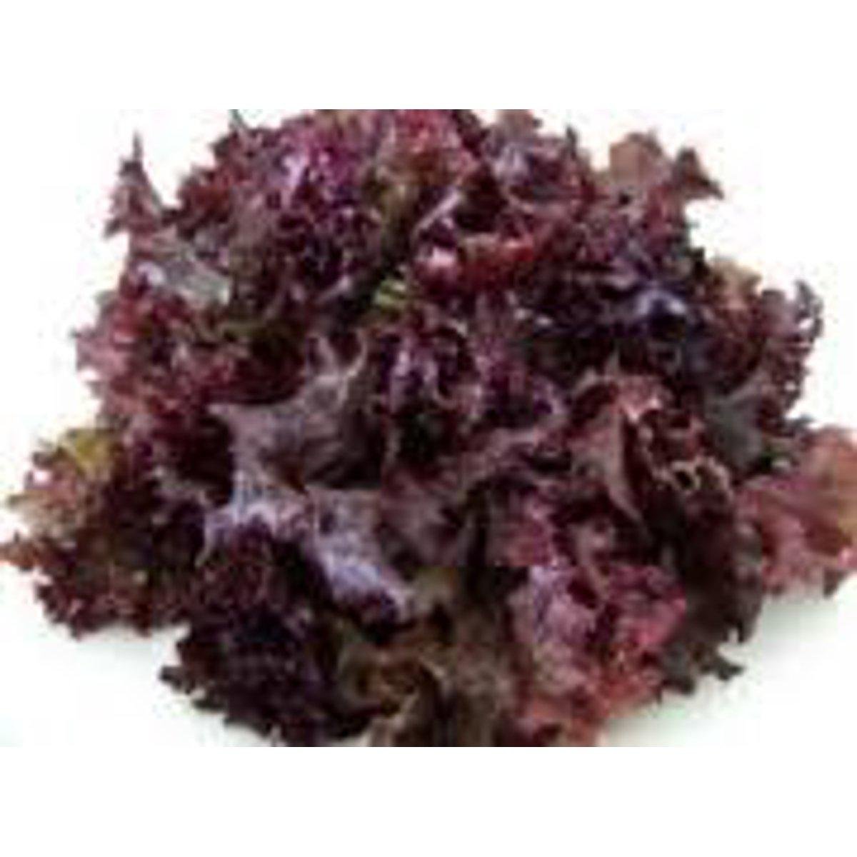 Salada de Alface Crespa e Roxa 150g