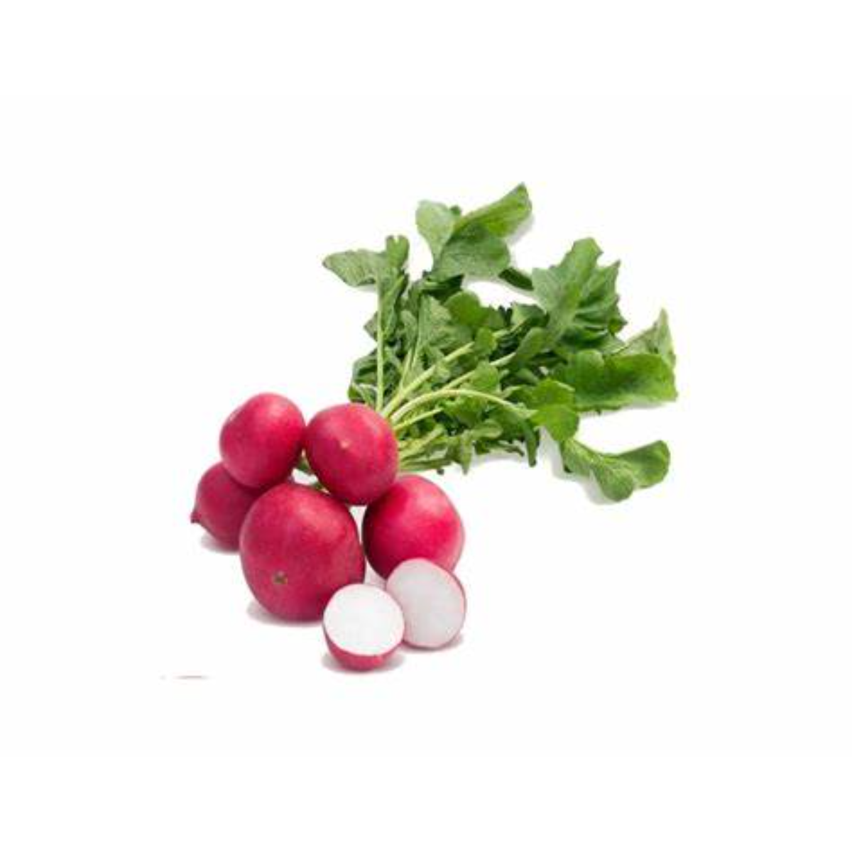 Rabanete Organico Veio da Terra 400g