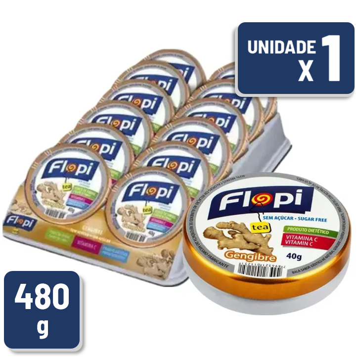 Bala Flopi Sem Açúcar Laranja Display 480g