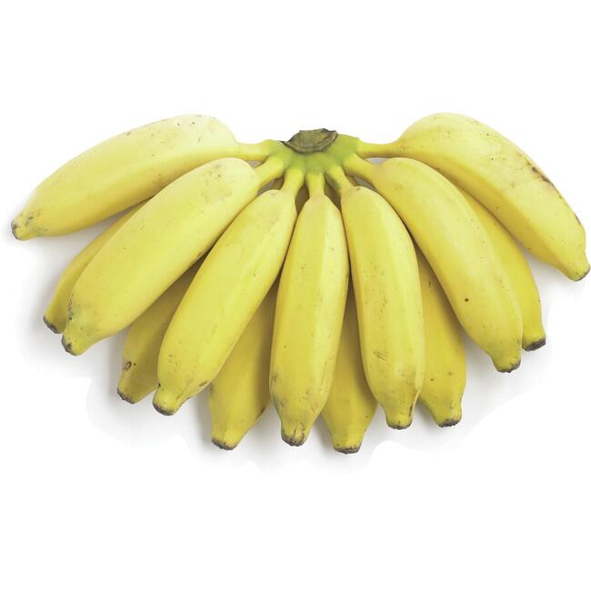 Banana Prata Quilo